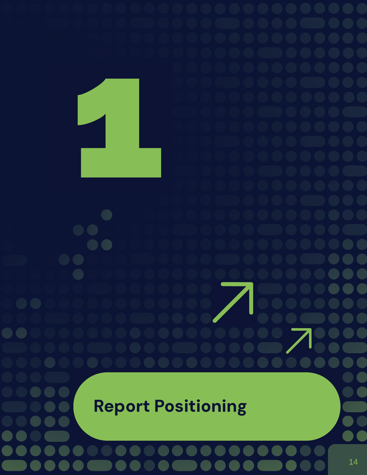 Chapter 1 — Report Positioning