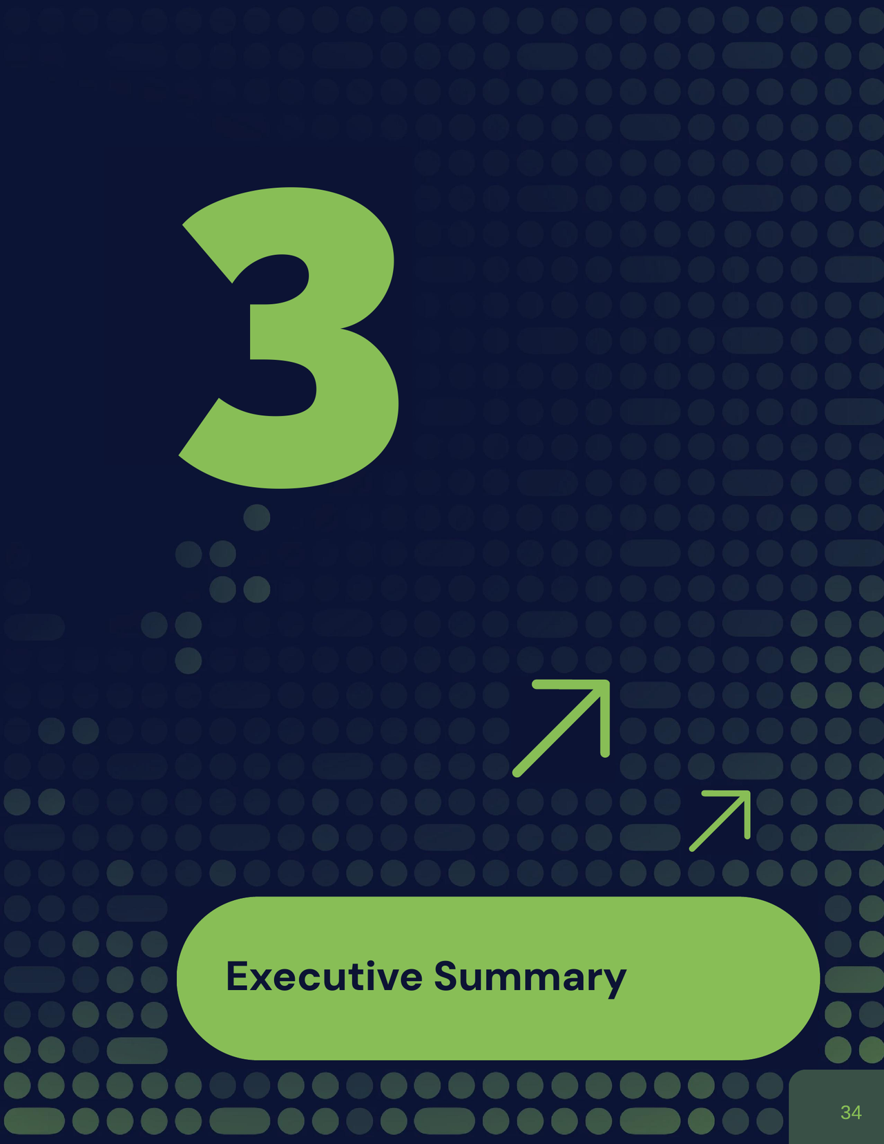 Chapter 3 — Executive Summary